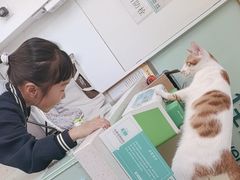 -佳雯宠物医院·皮肤科·内外科(春晓路分院)