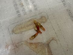 -北京派仕佳德动物医院·超导核磁·CT·神经科·骨科·内外科·急重症管理中心