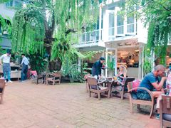 -Fern Forest Cafe