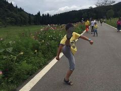 -武陵山森林公园