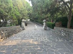 -蓬莱阁景区