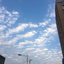 -川和潮人漂色·烫染·接发