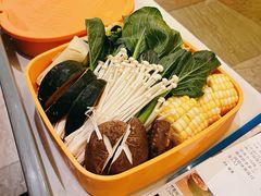 -润园四季椰子鸡火锅(卓越INTOWN店)