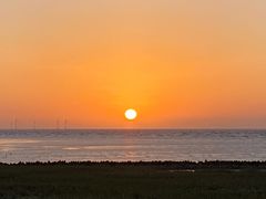 -春花秋色城市公园