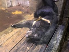 -哈尔滨波塞冬海底世界