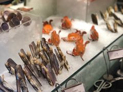 -东海朗廷酒店秀·Silk自助餐厅