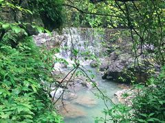 -华蓥山天意谷景区