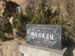 -大槐树寻根祭祖园