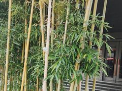 -璞御·海鲜·雪花牛肉局(宾水西道店)
