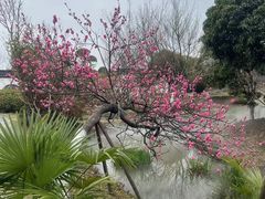 -武汉紫薇都市田园