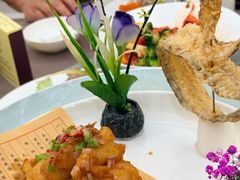 -丁老爷子苏香圆