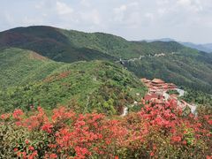 -永州阳明山国家森林公园