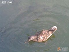 -紫竹院公园冰场