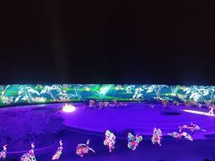 -鼎盛王朝康熙大典实景演出