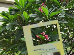-广州花园酒店