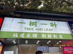 -一树一叶·福建茶档(石鼓路店)
