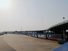 -演武大桥观景平台