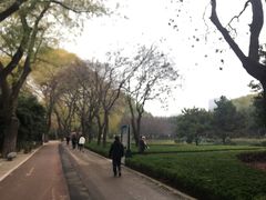 -达活泉公园