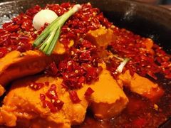 -董眼镜火锅(洪崖洞总店)
