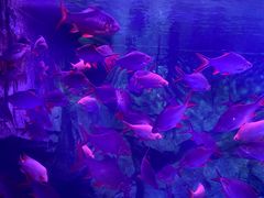 -泉城欧乐堡海洋极地世界