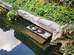 -宁波市保国寺古建筑博物馆