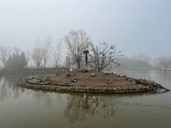 -盐城丹顶鹤湿地生态旅游区