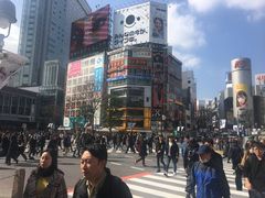 -涩谷区
