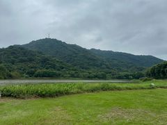 -风云岭森林公园