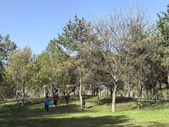 -森林公园(尖草坪区)