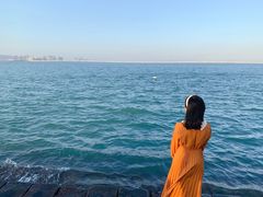 -海堤纪念公园