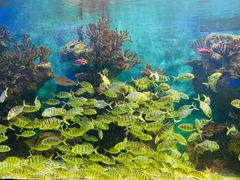 -多彩贵州城极地海洋世界