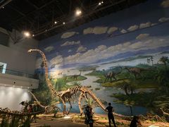 -自贡恐龙博物馆