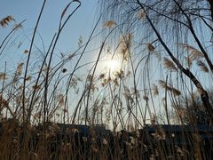 -春风习习