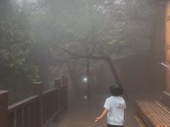 -狼牙山风景区