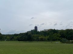 -宜兴龙背山森林公园