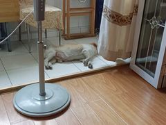 -津沽小院(天津之眼店)