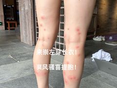 -大新明仕山庄