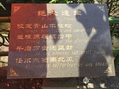 景点-众神白水涧景区