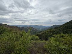 -大岭沟猕猴桃谷风景区