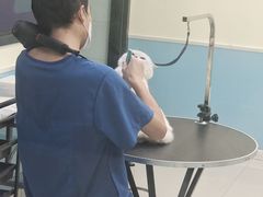 -天宠宠物医院24小时·急重症诊疗中心·全科·腔镜特色(和平分院)