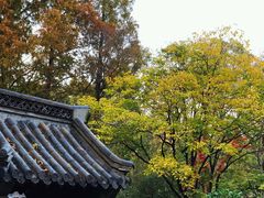 -崂山仰口游览区