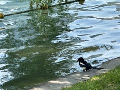 -天鹅湖体育公园