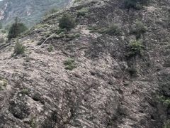 -司马台长城