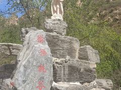 -大岭沟猕猴桃谷风景区