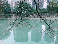 -红星桥(地铁站)