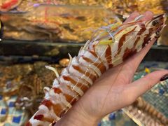 -阿忠食坊大排档·20年老店(万象城店)