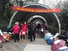 -人民公园-相亲角