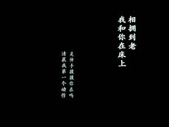 -荷兰花海