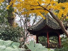 -秋霞圃
