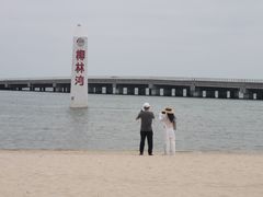 -东郊椰林